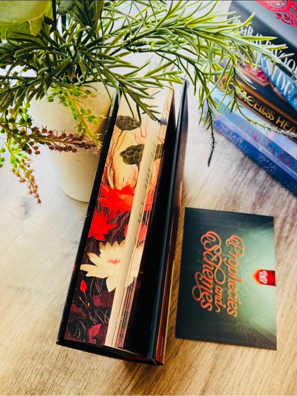 Fairyloot Exclusive Edition Verity Guild by Mai Corland